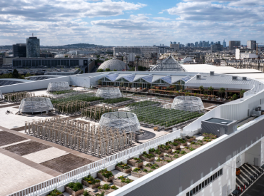 Communiqué : la plus grande ferme urbaine d’Europe en toiture a réalisé sa 1e saison